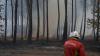 George Clooney's family evacuates their home in France amid ...
