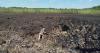 The Russians used two North Korean missiles to attack Kryvyi Rih — one of them exploded in a field