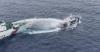 China Coast Guard conducts law-enforcement patrols around Huangyan Dao