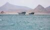 World Reuters Yemen's Houthis deny plans to impose fees on ships sailing through Red Sea