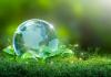 Maryland Opens Funding Slate for Clean Energy and Vehicles