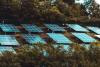 Portland Clean Energy Fund Raises $1 Billion for Climate Action and Community Resilience