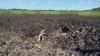 Another North Korean KN-23 Missile Discovered Near Kryvyi Rih Following Russia’s Attack