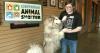 Cheyenne Animal Shelter cuts dog adoption fees to $26.27 through Aug. 9