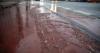 Violent storm in a tourist area of Germany causes one dead and several seriously injured due to falling trees