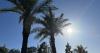 Heat warnings issued across Arizona for the coming days. Temps expected to hit up to 121