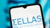 SLS Stock In Spotlight After Vanguard Capital Discloses 5.19% Stake – Retail Calls It ‘Huge Vote Of Conviction’ As AML Trial Readout Nears
