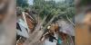 Sioux Falls family looks to move forward after storm damage