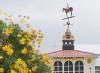 State of Maryland Completes Acquisition of IP Rights to Preakness, Black Eyed Susan