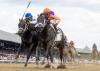 Local Knowledge Refuses To Yield Late In Amsterdam, Velazquez Notches 800th Graded Win