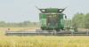 Louisiana rice farmers battle tight margins as next generation takes the wheel