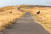 Wales Declares Nationwide Drought Amid Severe Dry Spell