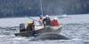 Humpback whale freed from gill net near Petersburg after two-day rescue effort