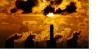 Climate crisis warning puts issue back in spotlight