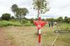 Unexploded Thai Ordnance Plagues Border Farms in Over 340 Villages