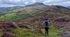 Ancient Irish volcano provides new clues to modern day eruptions