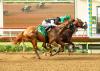 Seismic Beauty the favorite to win stakes race at Del Mar; He’s A Knockout wins Real Good Deal Stakes
