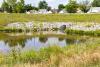Detroit Evening Report: Detroit celebrates stormwater development effort