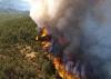 Amnesty International calls global extreme heat a human rights emergency