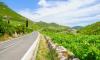 A Summer Drive Through Pelješac: Discovering the Beauty Around Ston