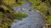 How can farmers assess their water pollution risk?