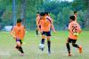 PE system to be returned to ministry of education
