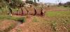 Gitega : the FOMI fertilizer shortage raises fears of a famine-prone season C