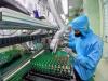 Five criteria set out for state budget support for strategic technology tasks
