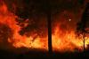 Wildfire burns out of control in Southern Germany