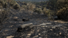 France, Spain assess damage as new wildfires spread elsewhere