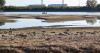 Low Danube forces Hungary's nuclear plant to shut down