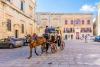 Horse-drawn carriages will not operate when a Red Alert – Extreme Heat Warning is issued