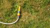 Colorado homeowner watered as allowed, then HOA threatened fines over dead grass