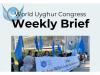 World News | WUC Accuses China of Expanding Uyghur Repression Beyond Borders