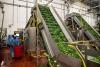 Reality check: Foodborne illness have been reduced drastically by US farmers