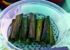Sarawak entrepreneur gives kelupis pandan twist while preserving northern heritage and Kedayan roots