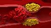 India, China account for one-third of world’s bad cholesterol burden: Global study