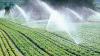 Zimbabwe Sets Sights on 25,000 Hectares of Irrigated Land by 2030