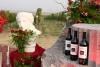 One of Armenia’s Premier Boutique Estates, Van Ardi,  Launches Three New Wines and Long-Awaited Wine Club