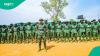 Federal Government Expands Forest Guards Initiative to 10 States: 9,000 Trained