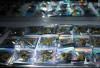 Texas has banned several THC products — here’s what to know