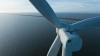 A Floating Wind Farm In Portugal Is Having A Surprising Impact On Underwater Habitats