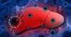Hepatitis plan expands testing and earlier treatment