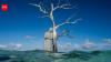 Kale Island disappeared beneath rising seas in 2016; a life-size sculpture now marks the site and will gradually become a habitat for seabirds, coral and marine life