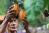 Indonesia raises cocoa export benchmark on supply crunch