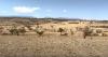 Tigray Faces El Niño Drought Crisis with USD 623M Funding Shortfall