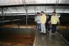 Record Heat Wave Kills 30,000 Flatfish at Jeju Fish Farms as Water Hits 29.3 C