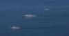 PLA conducts naval-air training exercise at Huangyan Dao
