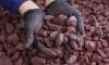 Iron ore surge in India can help South African producers: Report