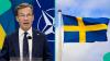 Sweden releases list of 21 categories of people allowed to work without a permit in the country